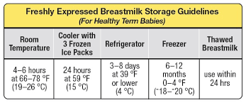 Breastmilk Storage Guidelines For The Philippines Life Of