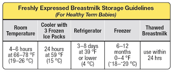 breastmilk storage guidelines for the philippines life of