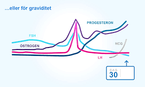 Men er dette verdier man normalt får tilbud om fertilitetsbehandling på, og er det håp for oss med egne egg? Forsta Kvinnens Menstruasjonssyklus Egglosning Og Menstruasjon