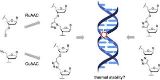 This tutorial discuss the analyses that can be performed using the dnamd python module included in the do_x3dna package. Searching For The Ideal Triazole Investigating The 1 5 Triazole As A Charge Neutral Dna Backbone Mimic Sciencedirect
