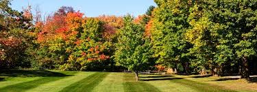 How to fertilize your lawn in autumn. Fall Lawn Care Milorganite