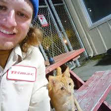 Has anyone seen Chief the chipped cat?