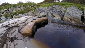 Lithgow Baron Warned by Police for Threatening Behaviour Over Filming at  Hendrix Genetics