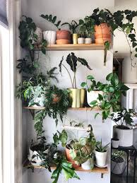 Life Love Larson Indoor Plant Wall Indoor Plant Wall Small Indoor Plants Indoor Plant Shelves