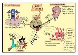 Disseminated Intravascular Coagulation Creative Med Doses Disseminated Intravascular Coagulation Intravascular D Dimer