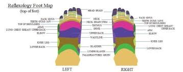 Pin On Exercise