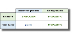 Biodegradable Vs Bioplastics Whats The Difference Mini