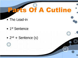 Check spelling or type a new query. Definition Of Cutline Caption