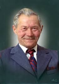 Stamboom van Henricus Schultenhoeve