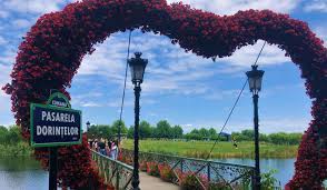 Tiganusul si cleanul de comana se gasesc doar in acest areal natural. MÄƒnÄƒstirea Comana È™i Parcul De AventurÄƒ Comana