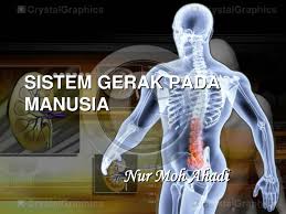 We did not find results for: Ppt Sistem Gerak Pada Manusia Powerpoint Presentation Free Download Id 4560408