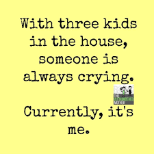  Pin By Nicole Bricker On Parenting Issues Funny Mom Quotes Mommy Humor Mom Humor