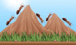 Image result for tbn:ekRZeqiUkU8b5M::www.hormiga.org/fondosescritorio/wallpapers/Paisajes-y-naturaleza/fotos/Paisajes-22.jpg