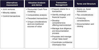 Mergers Acquisitions Process