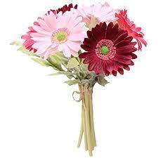We would like to show you a description here but the site won't allow us. Lioobo 7 Stucke Kunstliche Gerbera Blumenstrauss Europaischen Stil Afrikanische Ganseblumchen Blumen Simulation Blume Schmuck Hause Hochzeit Dekoration Weinrot Rosa Amazon De Garten