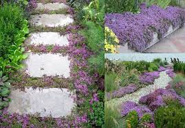 Pin On Walkway