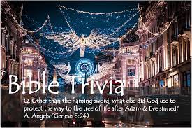 No matter where you place your faith or if you are religious at all, you likely have enough awareness about the stories and lessons from the pages of the bible. Bible Trivia 300 Series Bible Iq