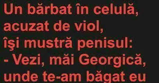 Pin By Ancuta On Amuzante Glume Haioase Poze Amuzante Imagini Amuzante