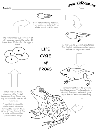 Frog Activity Sheet Frog Life Cycle Frog Activities Frog Life Life Cycles