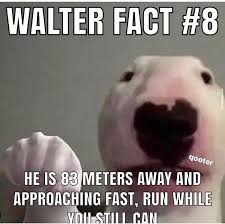 Pin On Funny Memes That Make Me Go Hee Hee Hoo Hoo