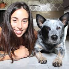 Luna and Teddy lead the pack in NSW, with a few cute newcomers. Is your  doggo's name is