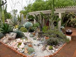Cacti are famously easy to take care of, and typically. Reader Photos A Gem Of A Succulent Garden Finegardening
