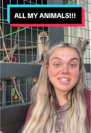 The Panamanian Petting Zoo