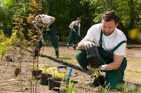 Gardener Job Description Sample Template Ziprecruiter
