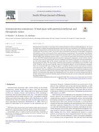 Image result for Stomatostemma monteiroae