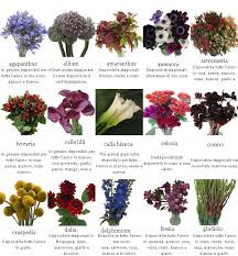 L elenco alfabetico dei fiori iltuocruciverba : Nomi Di Tutti I Fiori