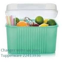 Coffre Multi Usage Tupperware Outdoor Storage Box Outdoor Storage