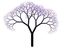 Image result for frattale