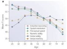 Image result for factors that might exacerbate the cognitive changes of aging such as memory loss and perceptual reasoning