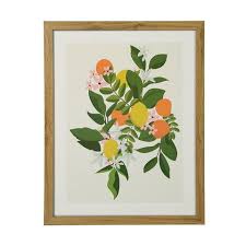 Citrus Framed Print Framed Prints Kmart Home Frame