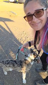 Dealing with cougars: a safety guide