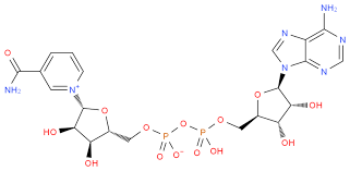 Coenzymes are sometimes referred to as cosubstrates. Coenzyme I Analysis Service Creative Proteomics