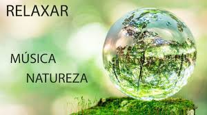 Há muitas vantagens que se pode obter de instrumentais. Paz Interior Musica Relaxante E Natureza Acalmar E Dormir Youtube