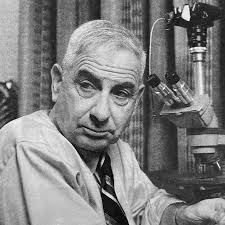 Werner Spitz, 'Medical Detective' in High-Profile Murders, Dies at 97