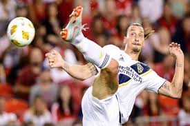Zlatan ibrahimovic kicked off his manchester united career in style. Zlatan Ibrahimovic Scores His 500th Career Goal With A Roundhouse Kick Watch Video India Com