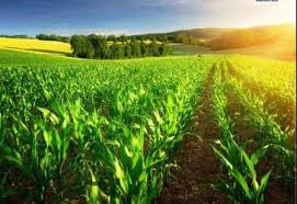 immobilien kaufen 15749 mittenwalde kreis dahme spreewald immobiliensuche 15749 mittenwalde kreis dahme spreewald von privat provisionsfrei makler