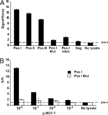 The process of making proteins from mrna template. In Vitro Analysis Of Dna Protein Interactions By Proximity Ligation Pnas