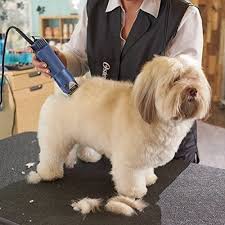 Professional Animal Clippers Dog Hair Grooming Heavy Duty 2 Speed With 10 Blade Dog Grooming Clippers Dog Grooming Tools Dog Clippers