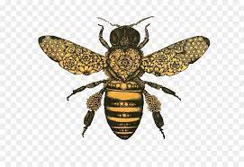 Bee Fly Png Download 736 616 Free Transparent Bee Png Download Bee Drawing Honey Bee Drawing Bee Illustration