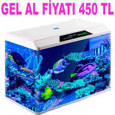 fivestar akvaryum r600 beyaz amazon pet center akvaryum amazonlar akvaryumlar