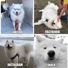 Dolly Parton Challenge Ben Edition Cat Day Animals Cat Life