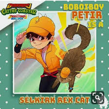 Pin Di Boboiboy