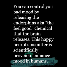 Endorphins make you happy sweatshirt. Mood Swings Quotes With Pictures Readbeach Quotes