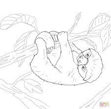 Check out our sloth coloring sheet selection for the very best in unique or custom, handmade pieces from our shops. Baby Sloth Coloring Page Free Printable Coloring Pages Coloring Pages Animal Coloring Pages Free Coloring Pages
