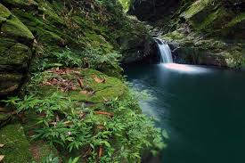 Tour Bạch Mã 1 ngày từ Đà Nẵng và Hội An