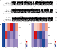 Image result for Gossypioides kirkii